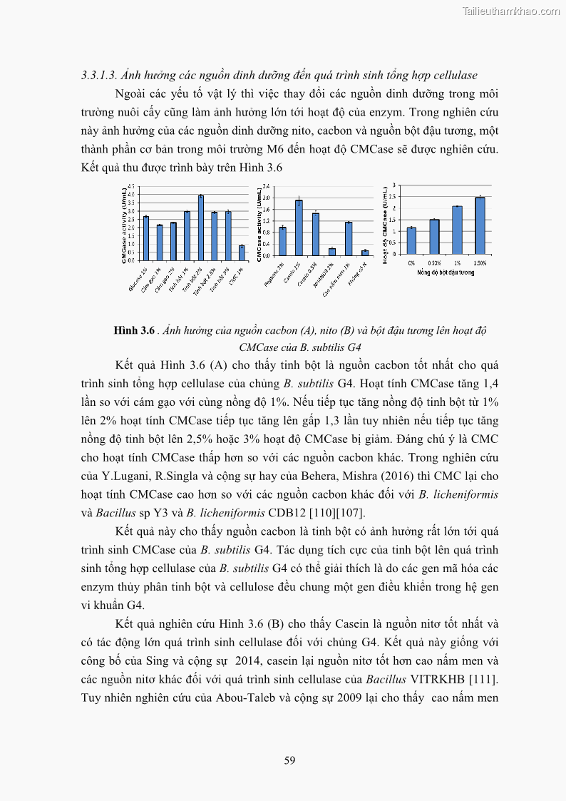 Luận án tiến sĩ công nghệ sinh học Nghiên cứu cellulase từ vi khuẩn ruột mối phân lập ở Việt Nam - 6 Trang 72