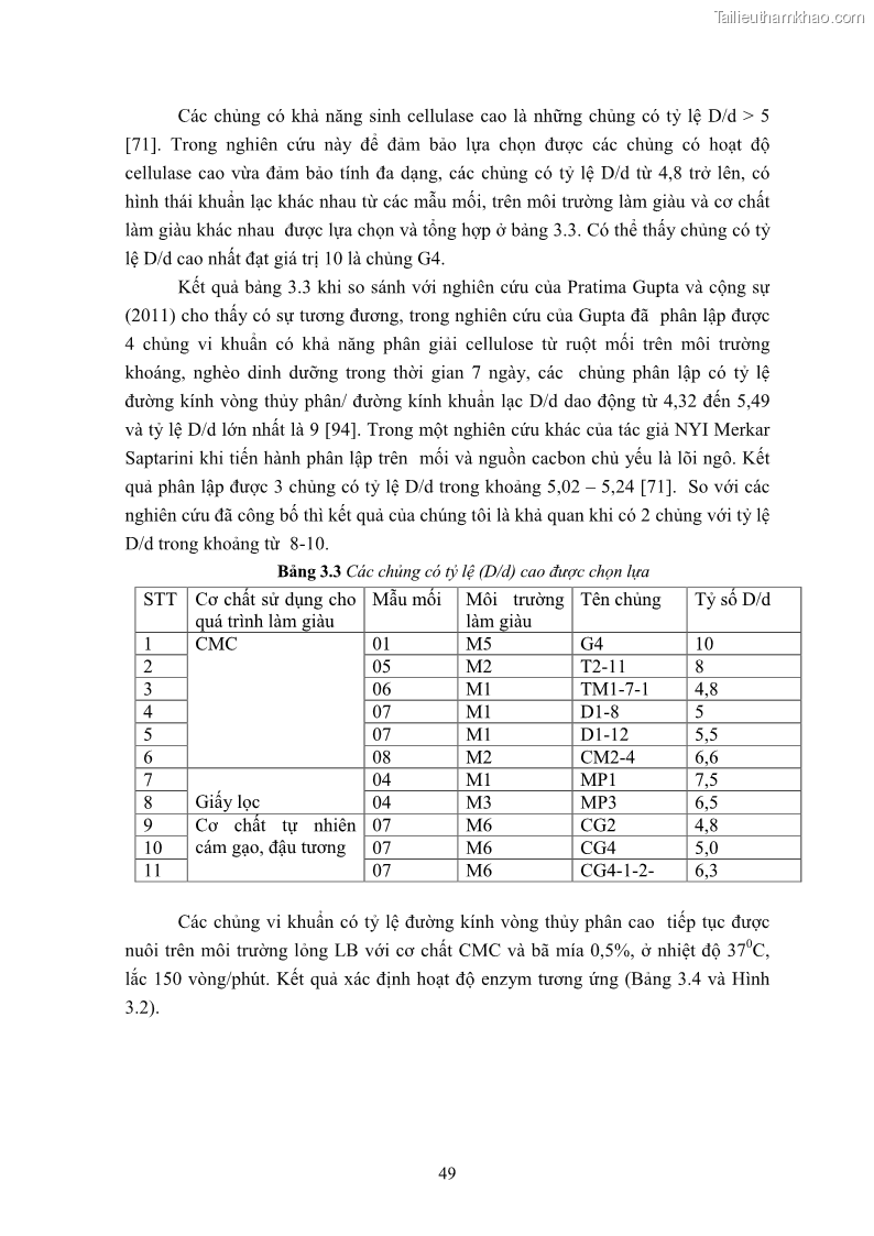 Luận án tiến sĩ công nghệ sinh học Nghiên cứu cellulase từ vi khuẩn ruột mối phân lập ở Việt Nam - 6 Trang 62