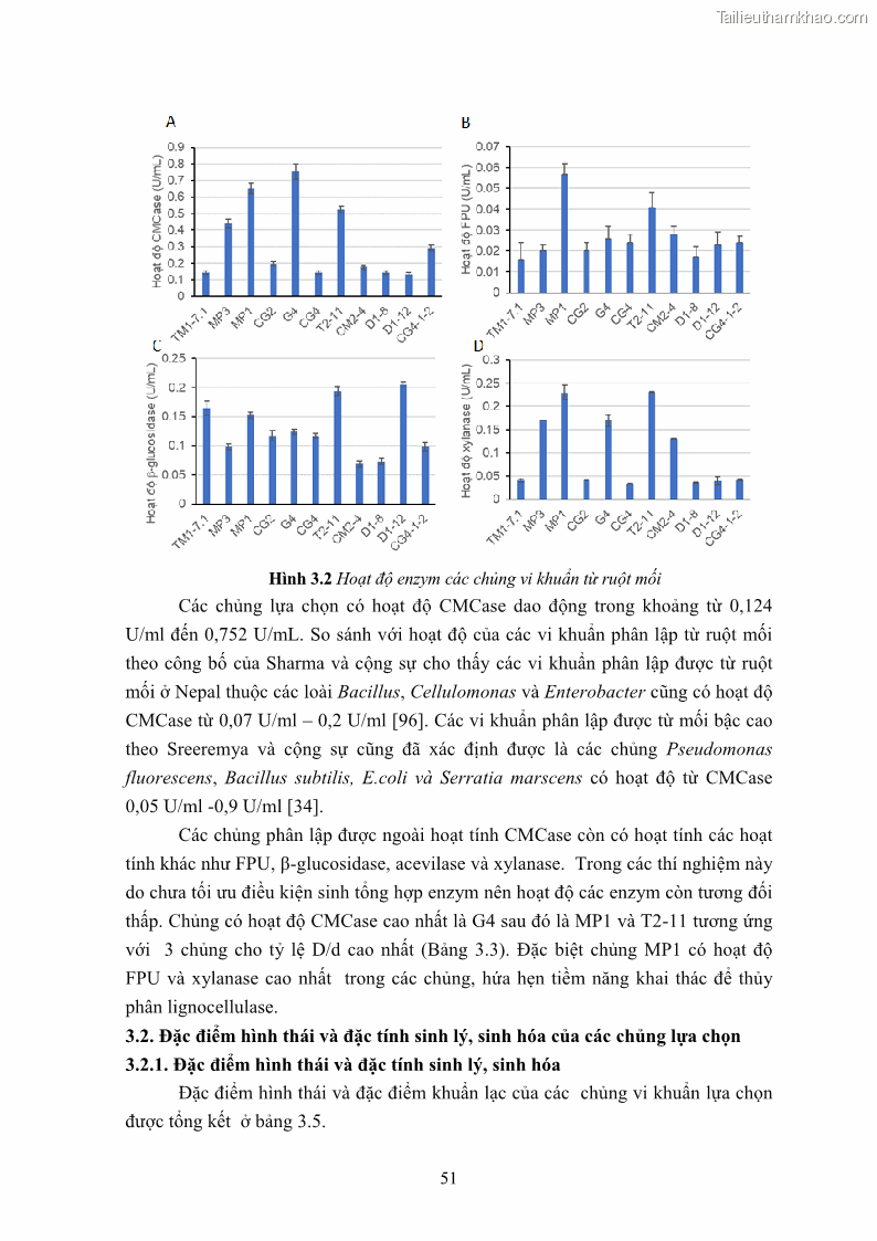 Luận án tiến sĩ công nghệ sinh học Nghiên cứu cellulase từ vi khuẩn ruột mối phân lập ở Việt Nam - 6 Trang 64