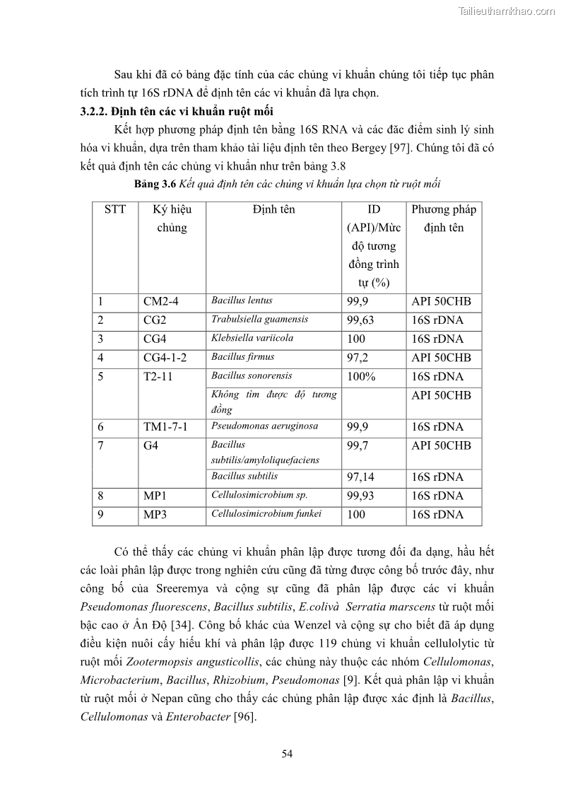 Luận án tiến sĩ công nghệ sinh học Nghiên cứu cellulase từ vi khuẩn ruột mối phân lập ở Việt Nam - 6 Trang 67