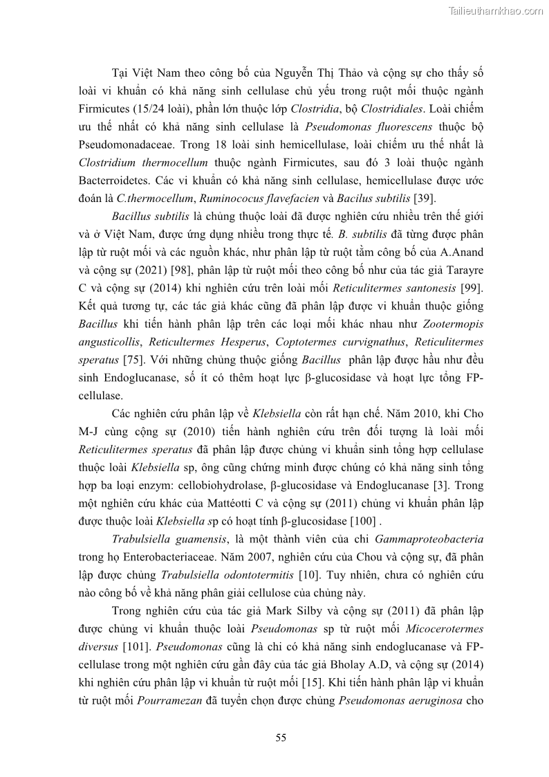 Luận án tiến sĩ công nghệ sinh học Nghiên cứu cellulase từ vi khuẩn ruột mối phân lập ở Việt Nam - 6 Trang 68