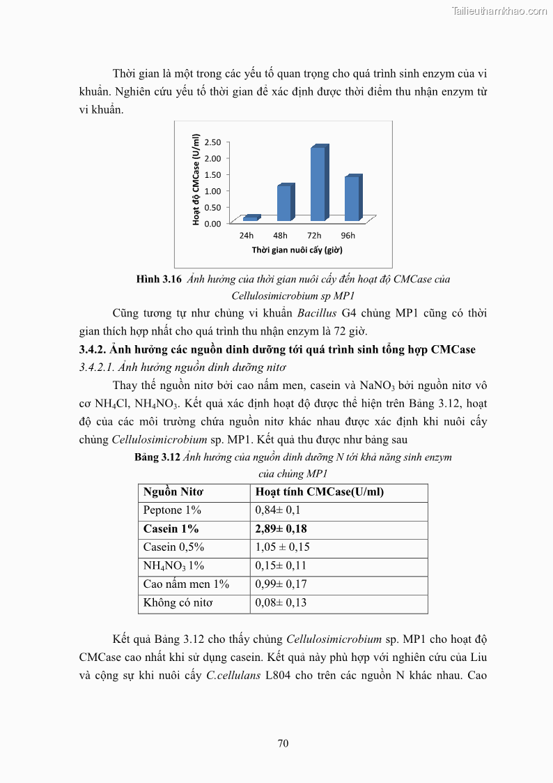 Luận án tiến sĩ công nghệ sinh học Nghiên cứu cellulase từ vi khuẩn ruột mối phân lập ở Việt Nam - 7 Trang 83