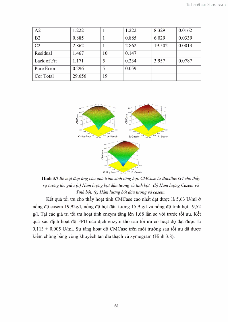 Luận án tiến sĩ công nghệ sinh học Nghiên cứu cellulase từ vi khuẩn ruột mối phân lập ở Việt Nam - 7 Trang 74