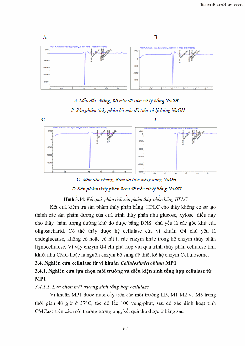 Luận án tiến sĩ công nghệ sinh học Nghiên cứu cellulase từ vi khuẩn ruột mối phân lập ở Việt Nam - 7 Trang 80