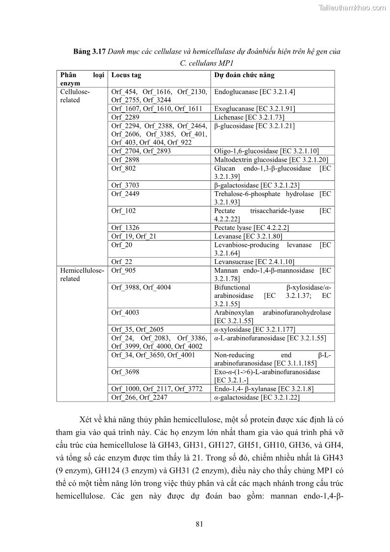 Luận án tiến sĩ công nghệ sinh học Nghiên cứu cellulase từ vi khuẩn ruột mối phân lập ở Việt Nam - 8 Trang 94
