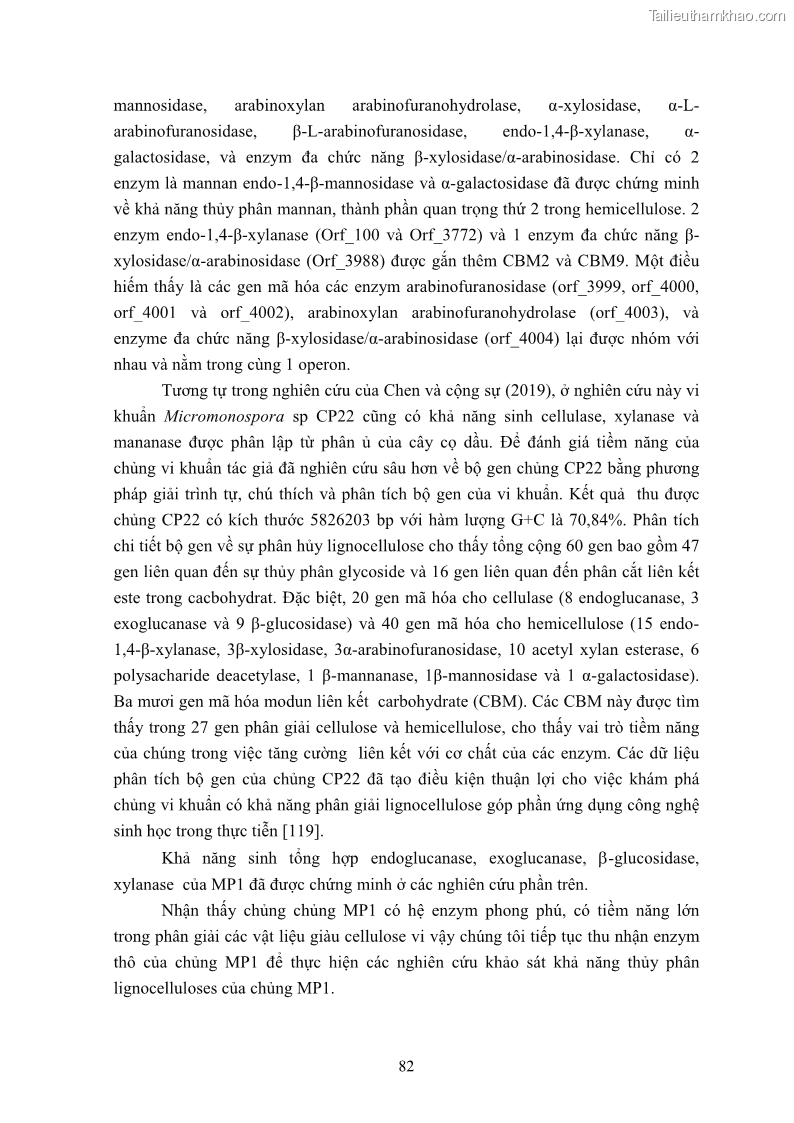 Luận án tiến sĩ công nghệ sinh học Nghiên cứu cellulase từ vi khuẩn ruột mối phân lập ở Việt Nam - 8 Trang 95