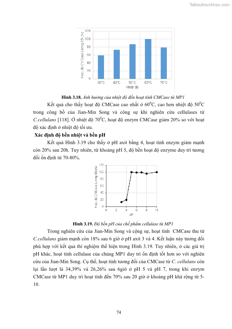 Luận án tiến sĩ công nghệ sinh học Nghiên cứu cellulase từ vi khuẩn ruột mối phân lập ở Việt Nam - 8 Trang 87
