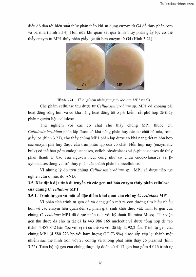 Luận án tiến sĩ công nghệ sinh học Nghiên cứu cellulase từ vi khuẩn ruột mối phân lập ở Việt Nam - 8 Trang 89