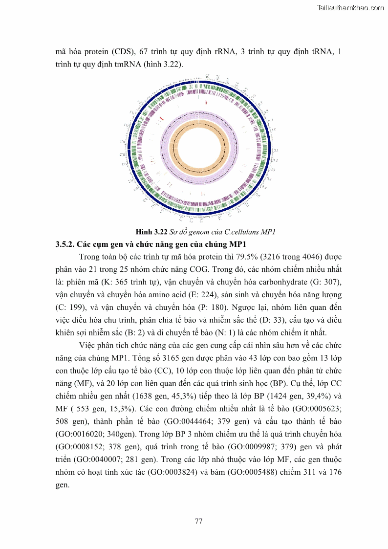 Luận án tiến sĩ công nghệ sinh học Nghiên cứu cellulase từ vi khuẩn ruột mối phân lập ở Việt Nam - 8 Trang 90