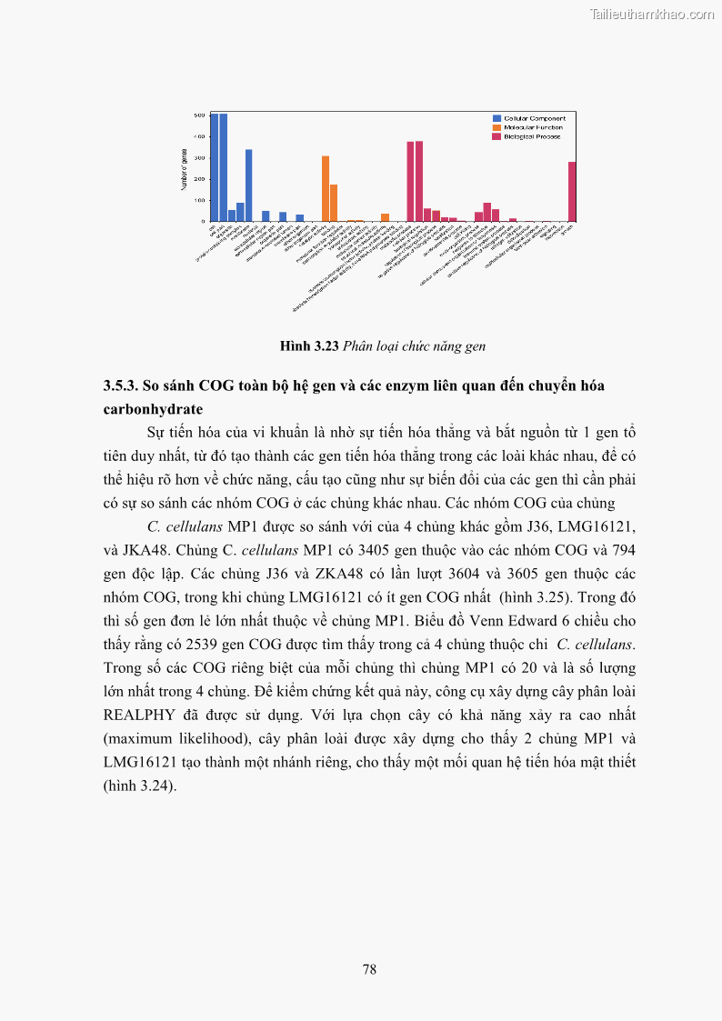 Luận án tiến sĩ công nghệ sinh học Nghiên cứu cellulase từ vi khuẩn ruột mối phân lập ở Việt Nam - 8 Trang 91