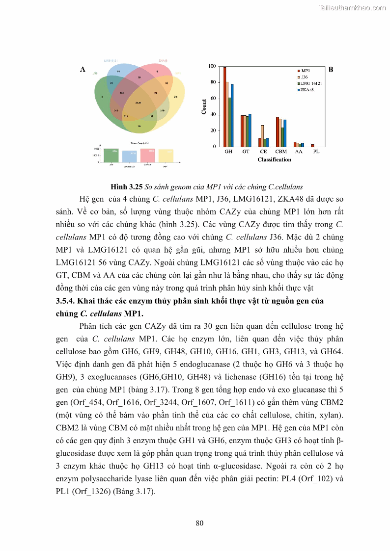 Luận án tiến sĩ công nghệ sinh học Nghiên cứu cellulase từ vi khuẩn ruột mối phân lập ở Việt Nam - 8 Trang 93