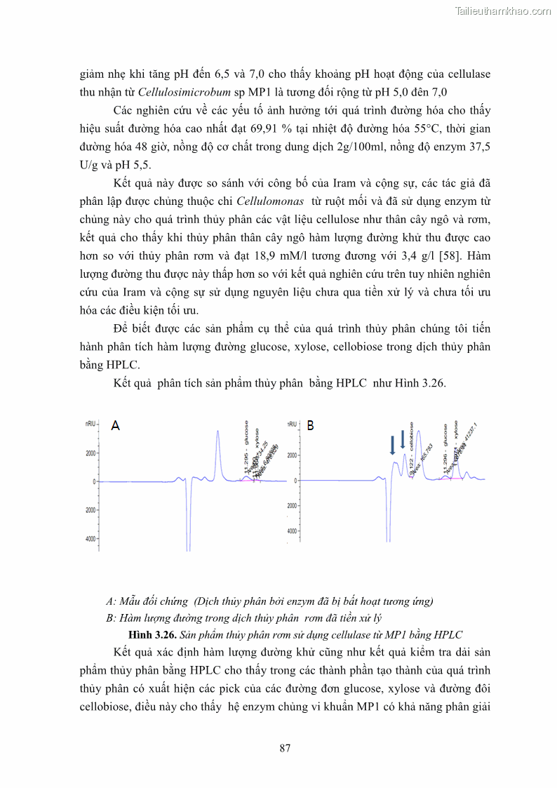 Luận án tiến sĩ công nghệ sinh học Nghiên cứu cellulase từ vi khuẩn ruột mối phân lập ở Việt Nam - 9 Trang 100