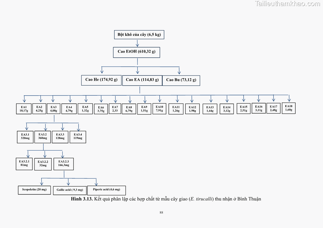 Luận án tiến sĩ công nghệ sinh học Nghiên cứu khả năng ức chế vi khuẩn Xanthomonas sp. gây bệnh loét trên cây chanh của cao chiết phân đoạn từ cây Giao Euphorbia tirucalli L. - 10 Trang 109
