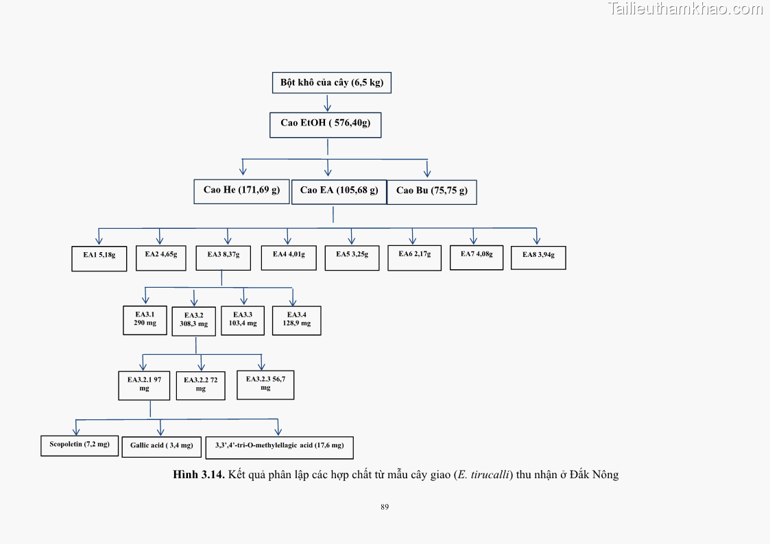 Luận án tiến sĩ công nghệ sinh học Nghiên cứu khả năng ức chế vi khuẩn Xanthomonas sp. gây bệnh loét trên cây chanh của cao chiết phân đoạn từ cây Giao Euphorbia tirucalli L. - 10 Trang 110