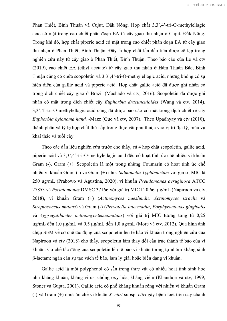 Luận án tiến sĩ công nghệ sinh học Nghiên cứu khả năng ức chế vi khuẩn Xanthomonas sp. gây bệnh loét trên cây chanh của cao chiết phân đoạn từ cây Giao Euphorbia tirucalli L. - 10 Trang 116