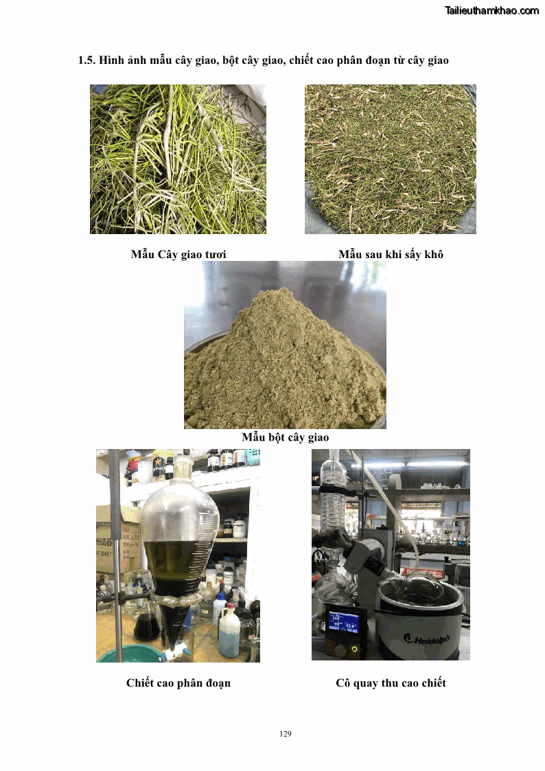 Luận án tiến sĩ công nghệ sinh học Nghiên cứu khả năng ức chế vi khuẩn Xanthomonas sp. gây bệnh loét trên cây chanh của cao chiết phân đoạn từ cây Giao Euphorbia tirucalli L. - 13 Trang 150