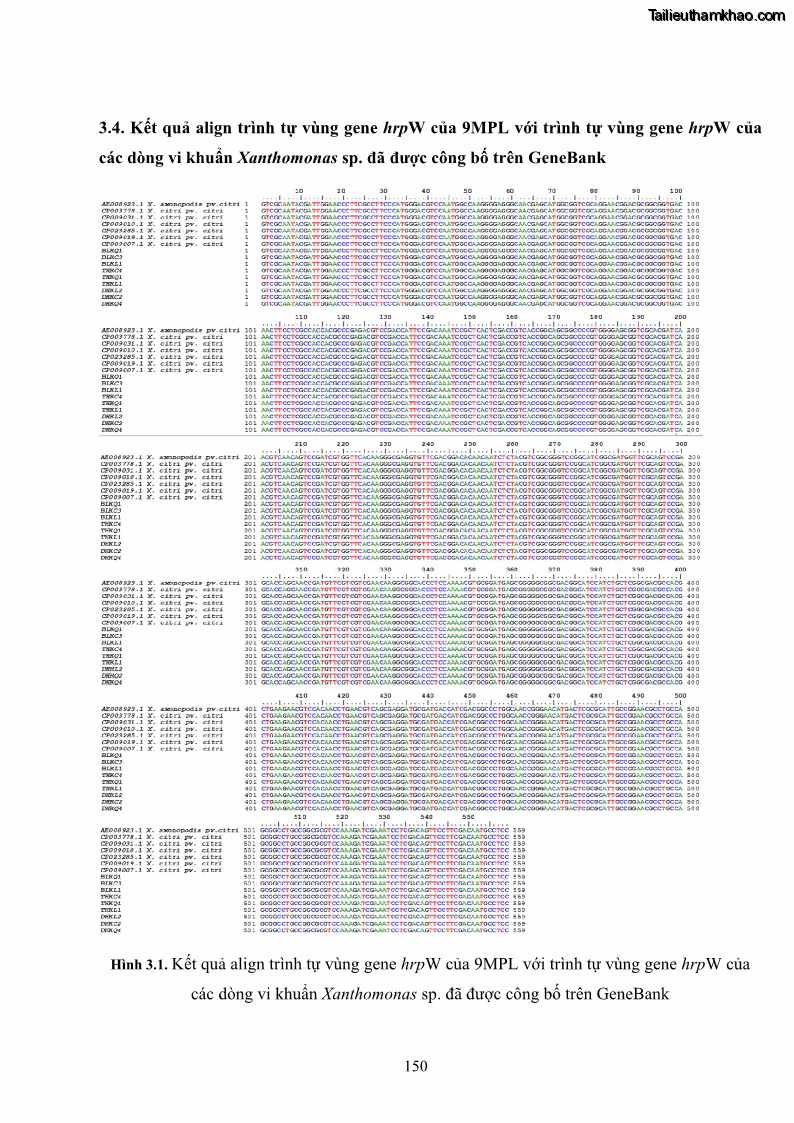 Luận án tiến sĩ công nghệ sinh học Nghiên cứu khả năng ức chế vi khuẩn Xanthomonas sp. gây bệnh loét trên cây chanh của cao chiết phân đoạn từ cây Giao Euphorbia tirucalli L. - 15 Trang 171