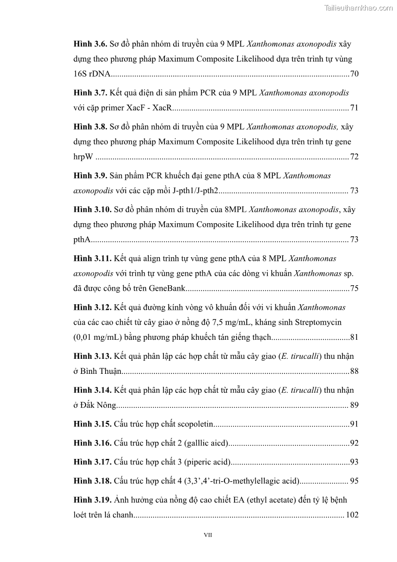 Luận án tiến sĩ công nghệ sinh học Nghiên cứu khả năng ức chế vi khuẩn Xanthomonas sp. gây bệnh loét trên cây chanh của cao chiết phân đoạn từ cây Giao Euphorbia tirucalli L. - 2 Trang 20