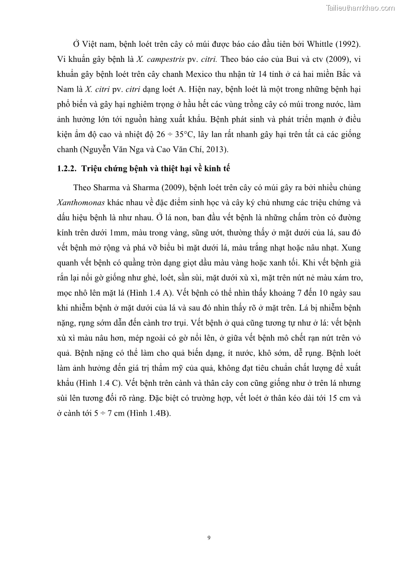 Luận án tiến sĩ công nghệ sinh học Nghiên cứu khả năng ức chế vi khuẩn Xanthomonas sp. gây bệnh loét trên cây chanh của cao chiết phân đoạn từ cây Giao Euphorbia tirucalli L. - 3 Trang 30