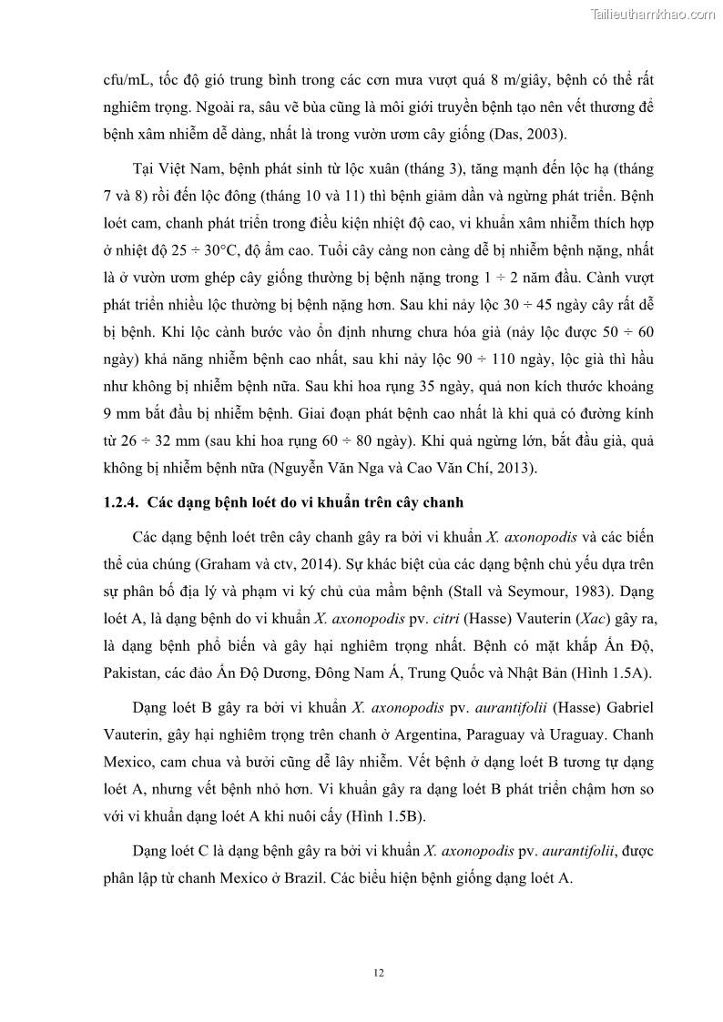Luận án tiến sĩ công nghệ sinh học Nghiên cứu khả năng ức chế vi khuẩn Xanthomonas sp. gây bệnh loét trên cây chanh của cao chiết phân đoạn từ cây Giao Euphorbia tirucalli L. - 3 Trang 33