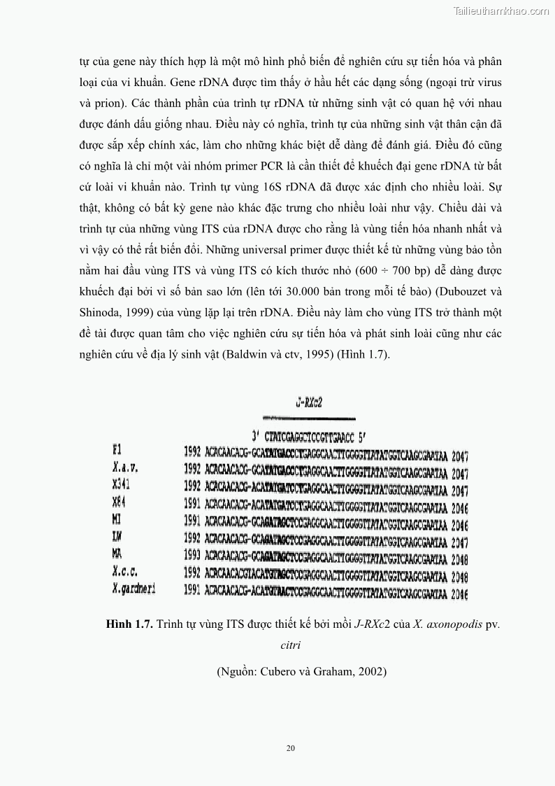 Luận án tiến sĩ công nghệ sinh học Nghiên cứu khả năng ức chế vi khuẩn Xanthomonas sp. gây bệnh loét trên cây chanh của cao chiết phân đoạn từ cây Giao Euphorbia tirucalli L. - 4 Trang 41