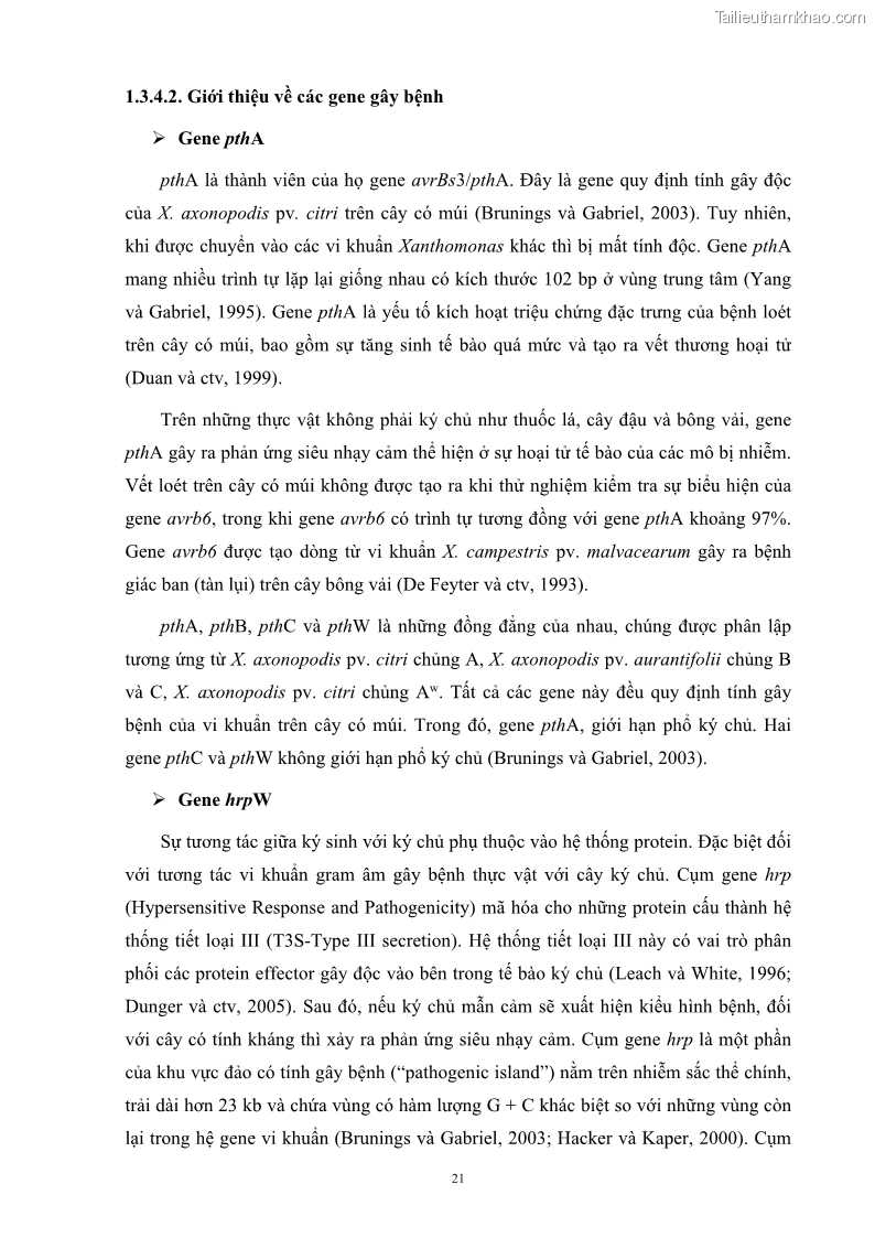 Luận án tiến sĩ công nghệ sinh học Nghiên cứu khả năng ức chế vi khuẩn Xanthomonas sp. gây bệnh loét trên cây chanh của cao chiết phân đoạn từ cây Giao Euphorbia tirucalli L. - 4 Trang 42