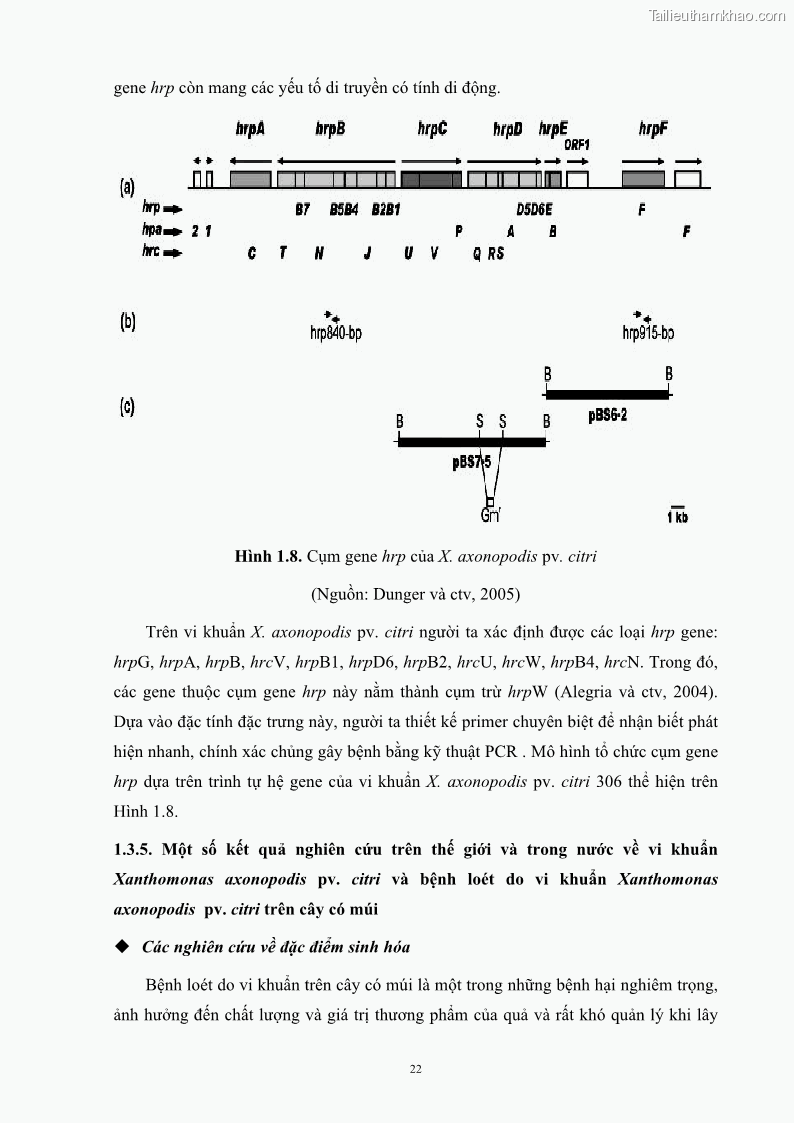 Luận án tiến sĩ công nghệ sinh học Nghiên cứu khả năng ức chế vi khuẩn Xanthomonas sp. gây bệnh loét trên cây chanh của cao chiết phân đoạn từ cây Giao Euphorbia tirucalli L. - 4 Trang 43