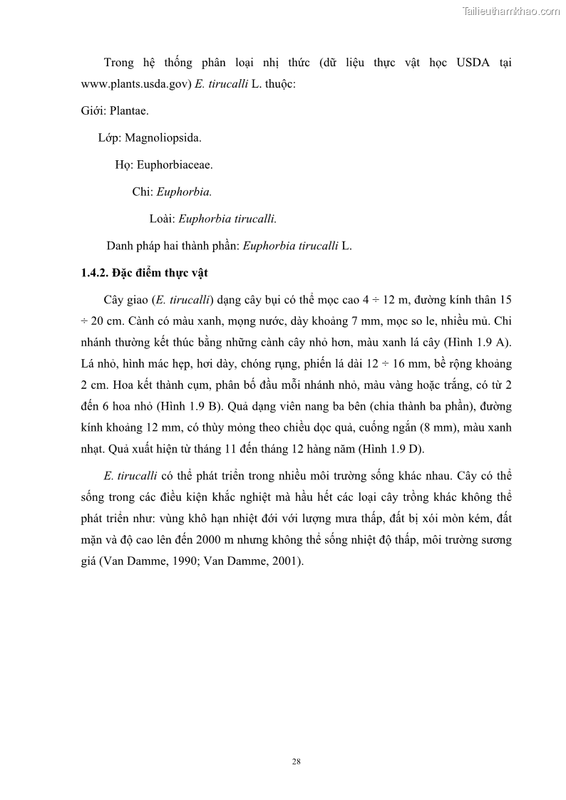 Luận án tiến sĩ công nghệ sinh học Nghiên cứu khả năng ức chế vi khuẩn Xanthomonas sp. gây bệnh loét trên cây chanh của cao chiết phân đoạn từ cây Giao Euphorbia tirucalli L. - 5 Trang 49