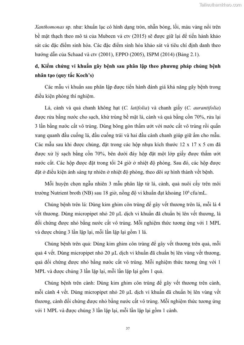 Luận án tiến sĩ công nghệ sinh học Nghiên cứu khả năng ức chế vi khuẩn Xanthomonas sp. gây bệnh loét trên cây chanh của cao chiết phân đoạn từ cây Giao Euphorbia tirucalli L. - 5 Trang 58