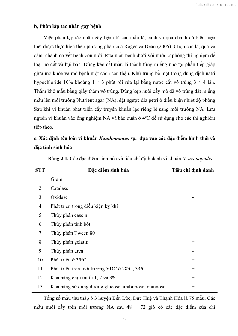 Luận án tiến sĩ công nghệ sinh học Nghiên cứu khả năng ức chế vi khuẩn Xanthomonas sp. gây bệnh loét trên cây chanh của cao chiết phân đoạn từ cây Giao Euphorbia tirucalli L. - 5 Trang 57
