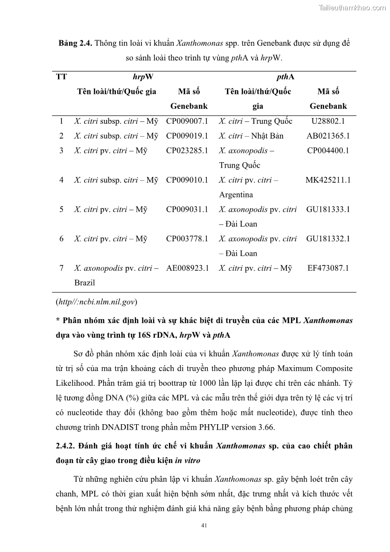 Luận án tiến sĩ công nghệ sinh học Nghiên cứu khả năng ức chế vi khuẩn Xanthomonas sp. gây bệnh loét trên cây chanh của cao chiết phân đoạn từ cây Giao Euphorbia tirucalli L. - 6 Trang 62