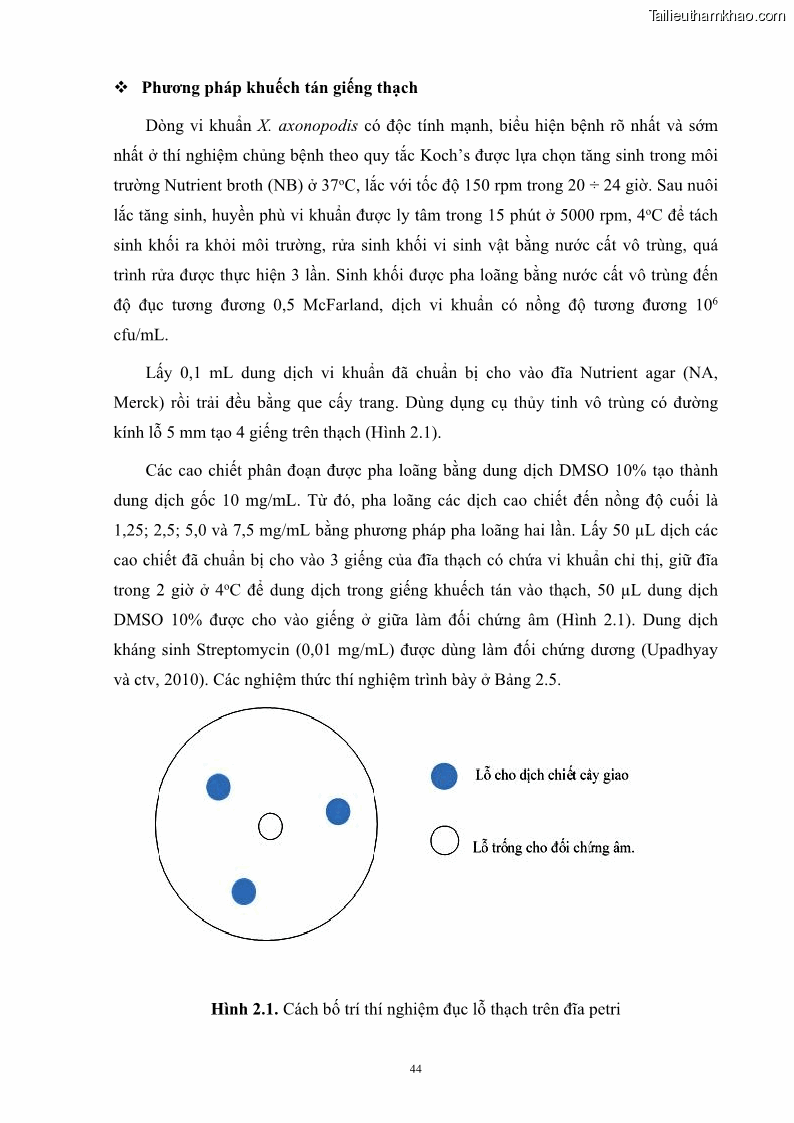 Luận án tiến sĩ công nghệ sinh học Nghiên cứu khả năng ức chế vi khuẩn Xanthomonas sp. gây bệnh loét trên cây chanh của cao chiết phân đoạn từ cây Giao Euphorbia tirucalli L. - 6 Trang 65