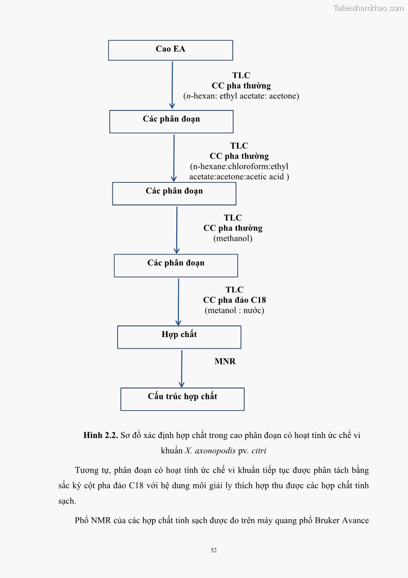 Luận án tiến sĩ công nghệ sinh học Nghiên cứu khả năng ức chế vi khuẩn Xanthomonas sp. gây bệnh loét trên cây chanh của cao chiết phân đoạn từ cây Giao Euphorbia tirucalli L. - 7 Trang 73