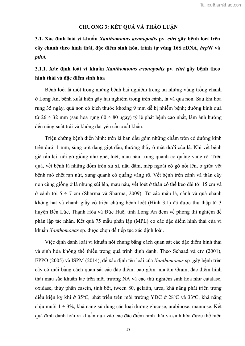 Luận án tiến sĩ công nghệ sinh học Nghiên cứu khả năng ức chế vi khuẩn Xanthomonas sp. gây bệnh loét trên cây chanh của cao chiết phân đoạn từ cây Giao Euphorbia tirucalli L. - 7 Trang 79