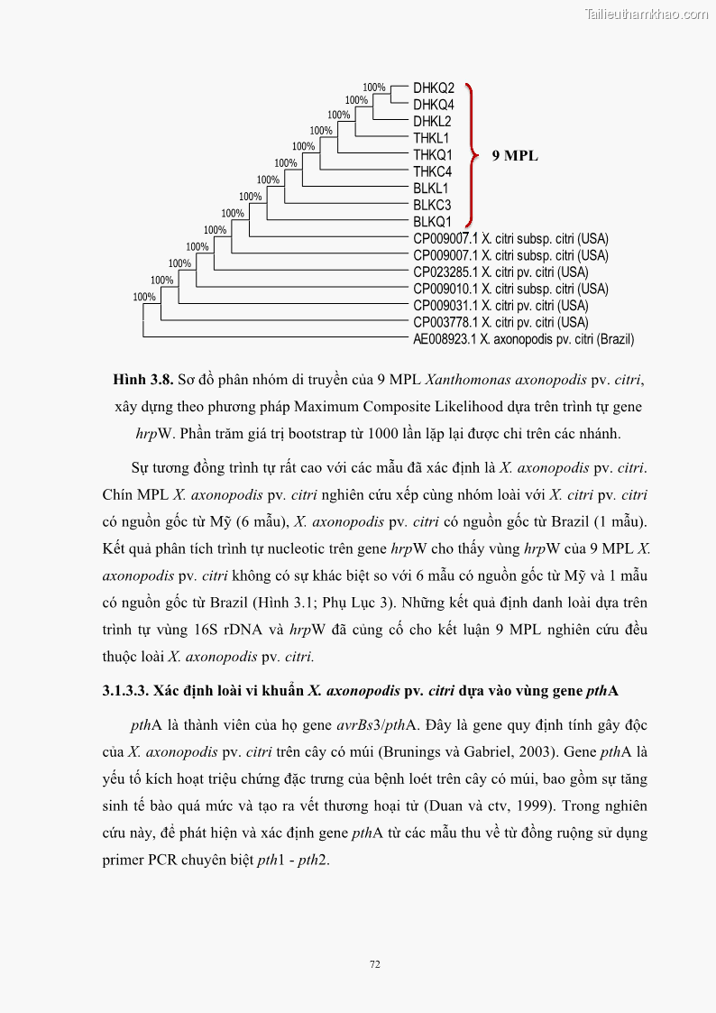 Luận án tiến sĩ công nghệ sinh học Nghiên cứu khả năng ức chế vi khuẩn Xanthomonas sp. gây bệnh loét trên cây chanh của cao chiết phân đoạn từ cây Giao Euphorbia tirucalli L. - 8 Trang 93