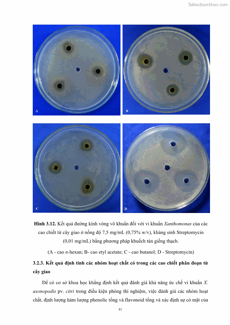Luận án tiến sĩ công nghệ sinh học Nghiên cứu khả năng ức chế vi khuẩn Xanthomonas sp. gây bệnh loét trên cây chanh của cao chiết phân đoạn từ cây Giao Euphorbia tirucalli L. - 9 Trang 102