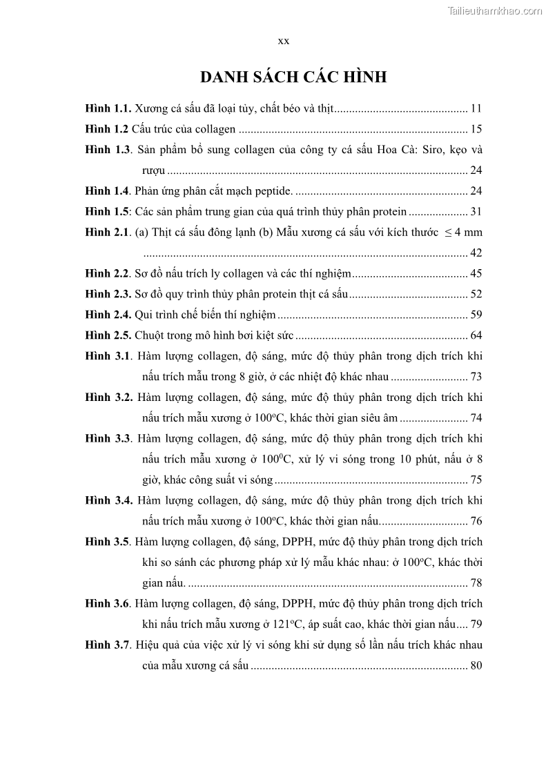 Luận án tiến sĩ công nghệ sinh học Nghiên cứu phát triển sản phẩm thực phẩm từ nguyên liệu cá sấu bằng kỹ thuật hóa sinh - 2 Trang 22
