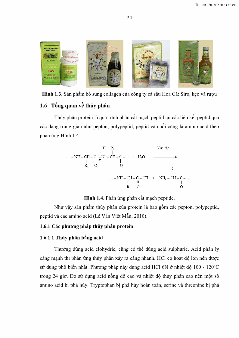 Luận án tiến sĩ công nghệ sinh học Nghiên cứu phát triển sản phẩm thực phẩm từ nguyên liệu cá sấu bằng kỹ thuật hóa sinh - 4 Trang 48