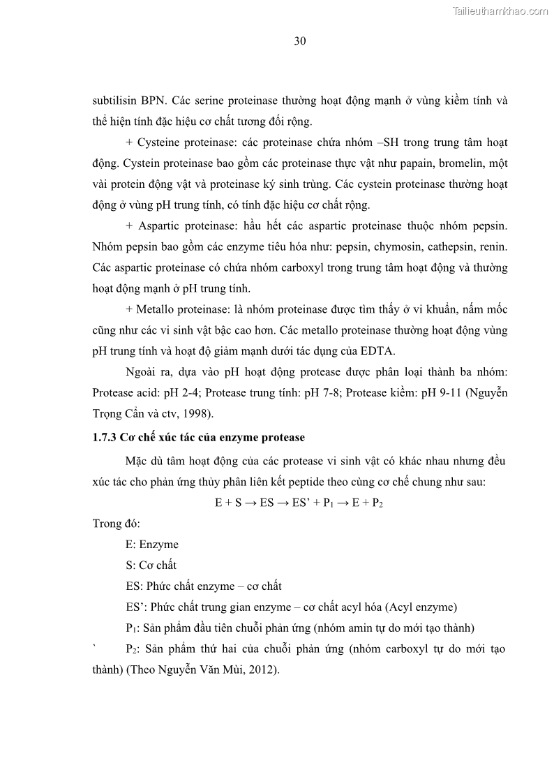 Luận án tiến sĩ công nghệ sinh học Nghiên cứu phát triển sản phẩm thực phẩm từ nguyên liệu cá sấu bằng kỹ thuật hóa sinh - 5 Trang 54