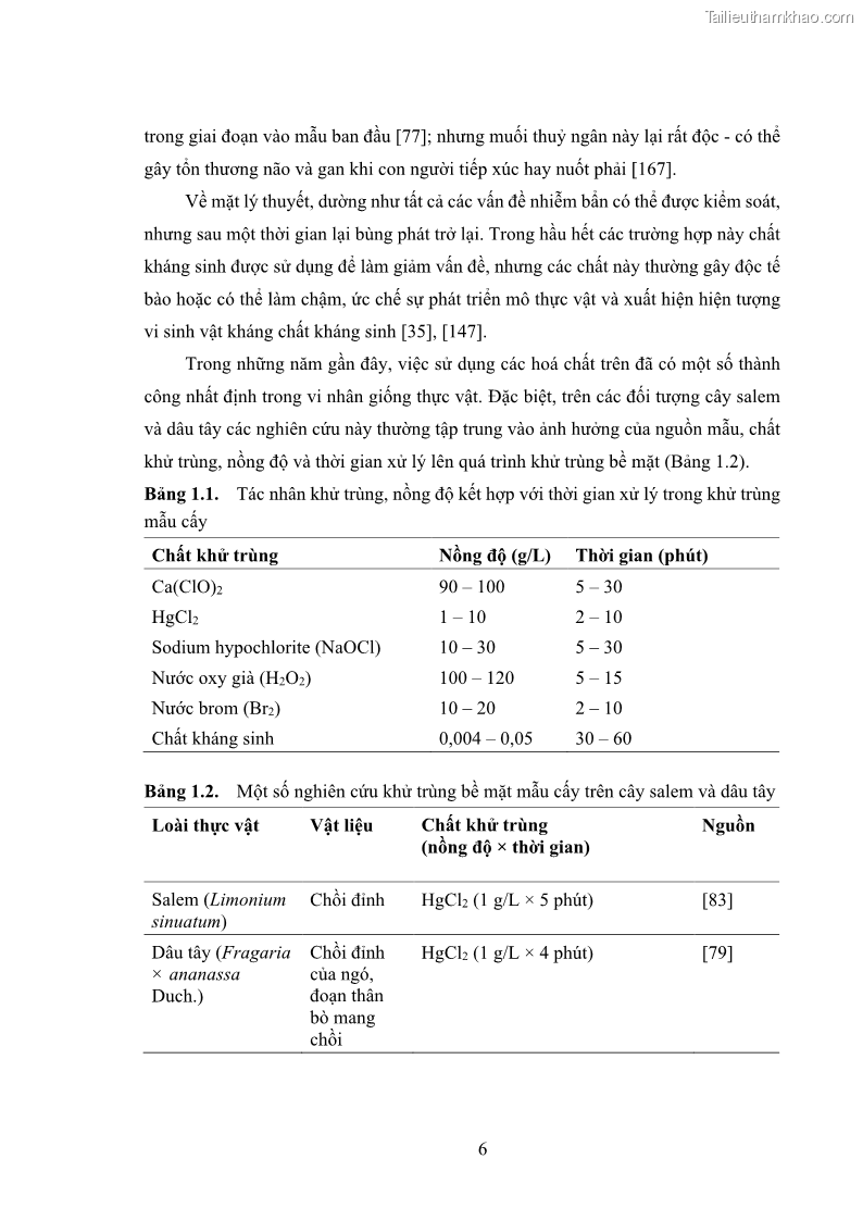 Luận án tiến sĩ công nghệ sinh học Nghiên cứu tác động của nano bạc và nano sắt lên chất lượng cây giống in vitro ở một số cây trồng có giá trị kinh tế - 2 Trang 22