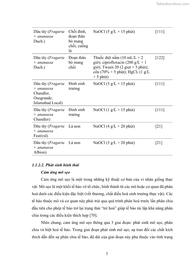 Luận án tiến sĩ công nghệ sinh học Nghiên cứu tác động của nano bạc và nano sắt lên chất lượng cây giống in vitro ở một số cây trồng có giá trị kinh tế - 2 Trang 23
