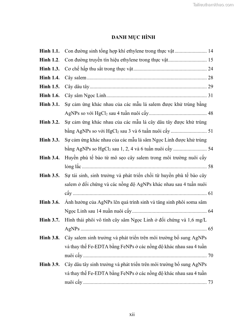 Luận án tiến sĩ công nghệ sinh học Nghiên cứu tác động của nano bạc và nano sắt lên chất lượng cây giống in vitro ở một số cây trồng có giá trị kinh tế - 2 Trang 14