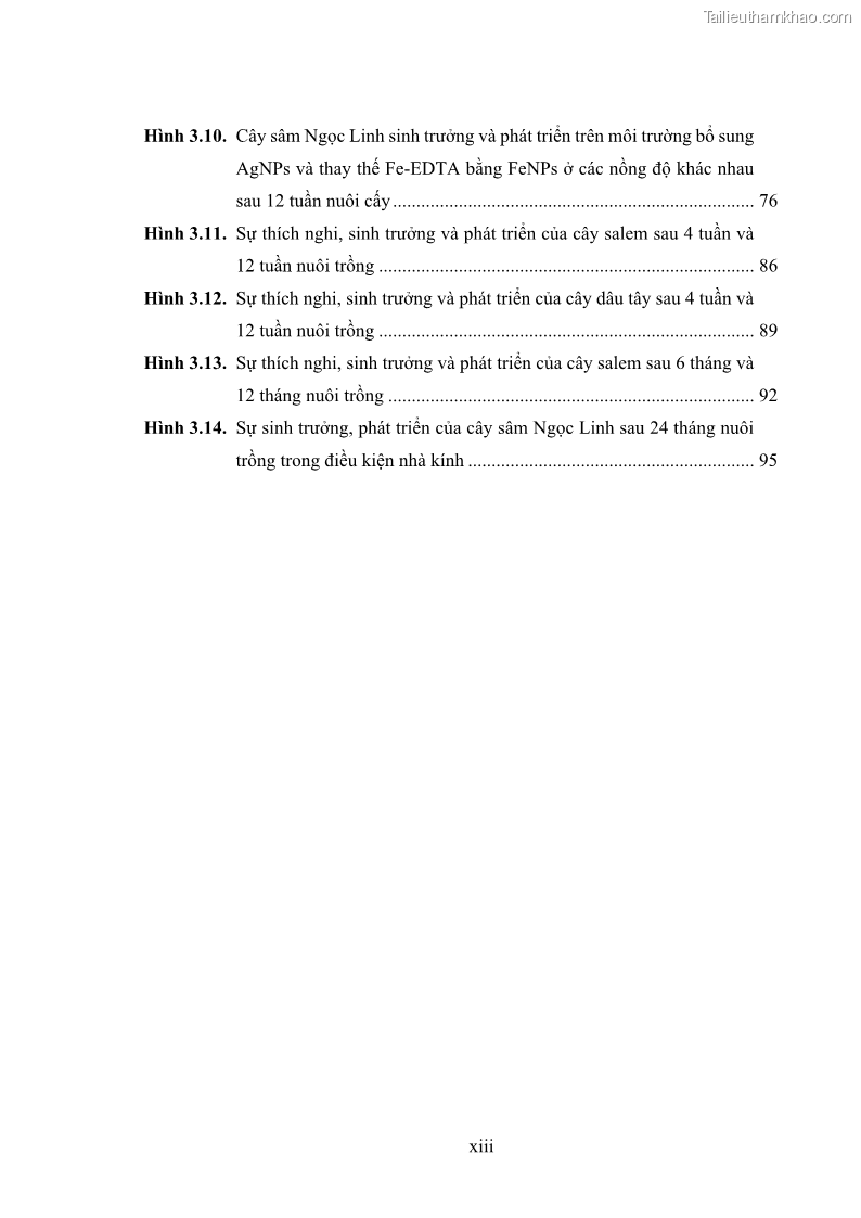 Luận án tiến sĩ công nghệ sinh học Nghiên cứu tác động của nano bạc và nano sắt lên chất lượng cây giống in vitro ở một số cây trồng có giá trị kinh tế - 2 Trang 15