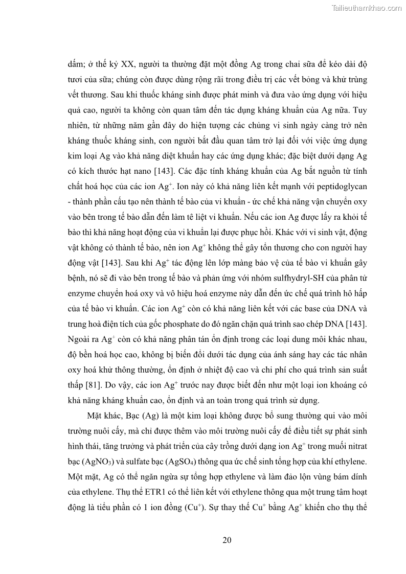 Luận án tiến sĩ công nghệ sinh học Nghiên cứu tác động của nano bạc và nano sắt lên chất lượng cây giống in vitro ở một số cây trồng có giá trị kinh tế - 3 Trang 36