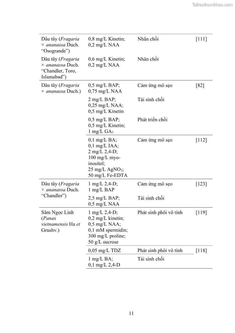 Luận án tiến sĩ công nghệ sinh học Nghiên cứu tác động của nano bạc và nano sắt lên chất lượng cây giống in vitro ở một số cây trồng có giá trị kinh tế - 3 Trang 27
