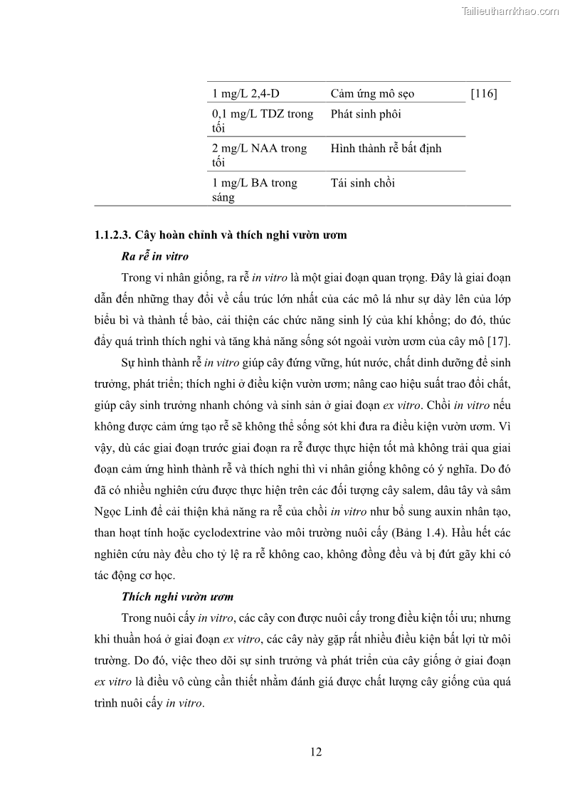 Luận án tiến sĩ công nghệ sinh học Nghiên cứu tác động của nano bạc và nano sắt lên chất lượng cây giống in vitro ở một số cây trồng có giá trị kinh tế - 3 Trang 28