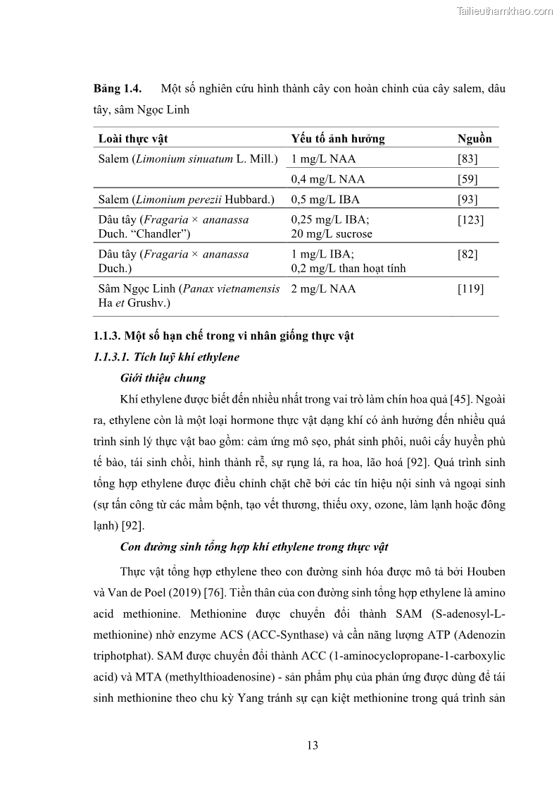 Luận án tiến sĩ công nghệ sinh học Nghiên cứu tác động của nano bạc và nano sắt lên chất lượng cây giống in vitro ở một số cây trồng có giá trị kinh tế - 3 Trang 29