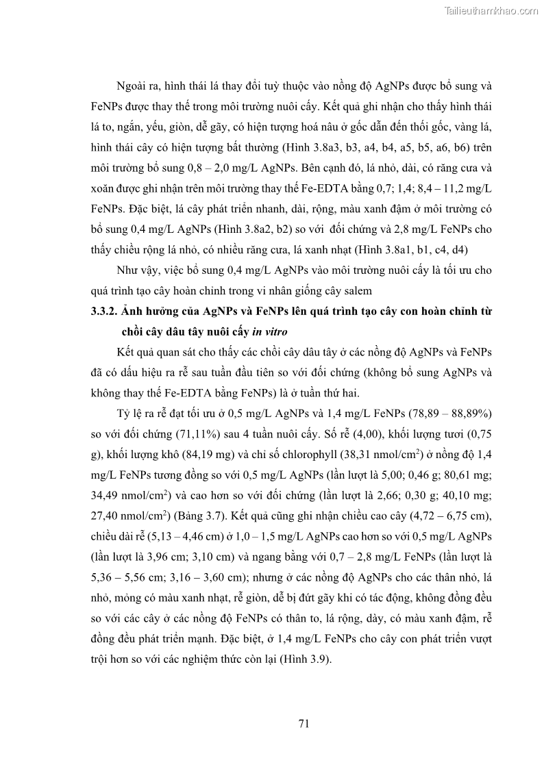 Luận án tiến sĩ công nghệ sinh học Nghiên cứu tác động của nano bạc và nano sắt lên chất lượng cây giống in vitro ở một số cây trồng có giá trị kinh tế - 8 Trang 87