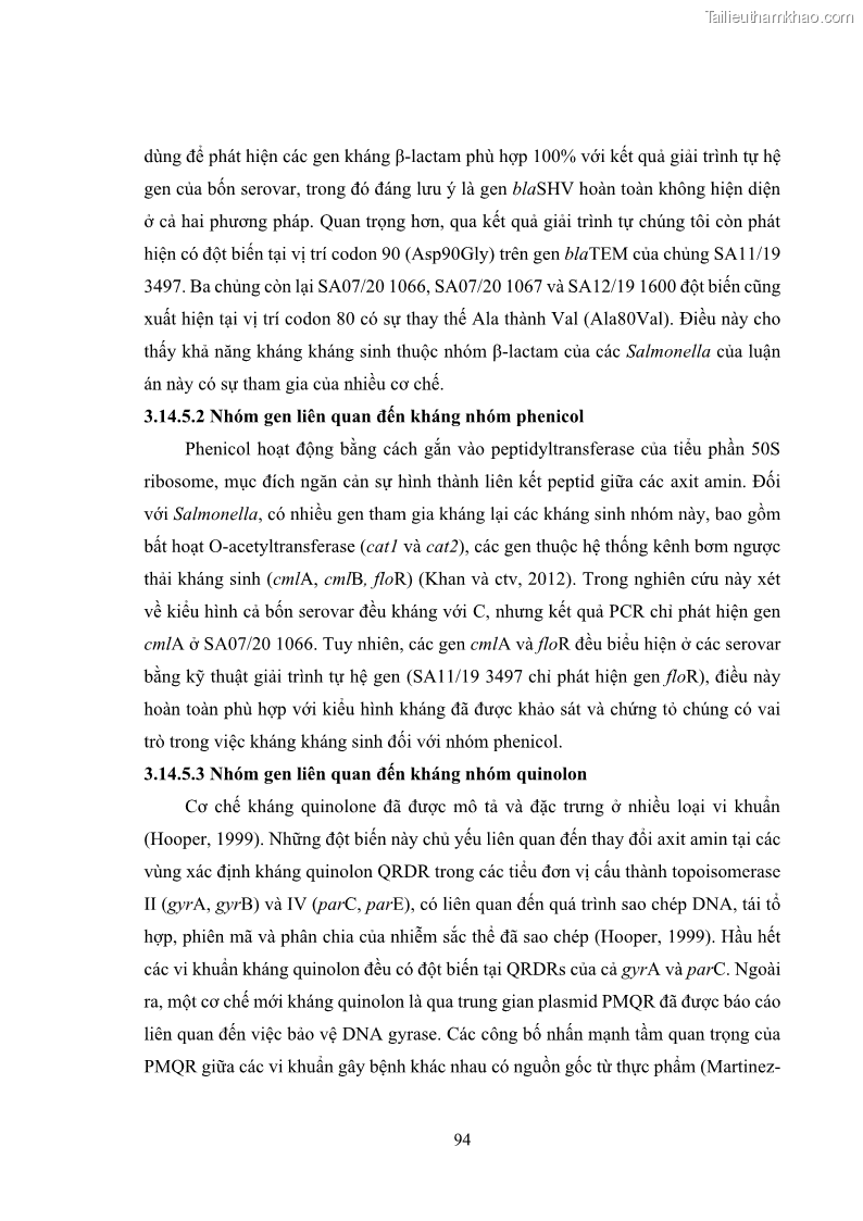Luận án tiến sĩ công nghệ sinh học Nghiên cứu tính kháng kháng sinh ở mức độ phân tử của Salmonella spp. phân lập từ thực phẩm tại thành phố Hồ Chí Minh - 10 Trang 109