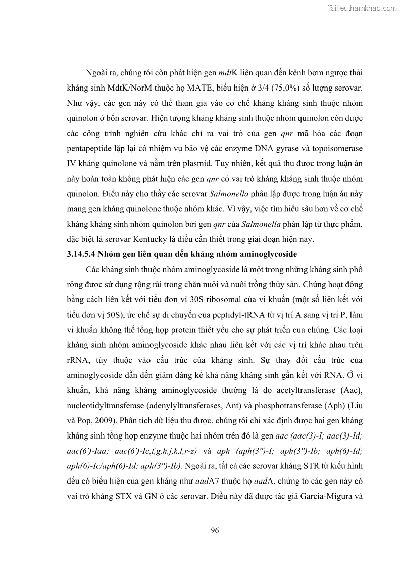 Luận án tiến sĩ công nghệ sinh học Nghiên cứu tính kháng kháng sinh ở mức độ phân tử của Salmonella spp. phân lập từ thực phẩm tại thành phố Hồ Chí Minh - 10 Trang 111